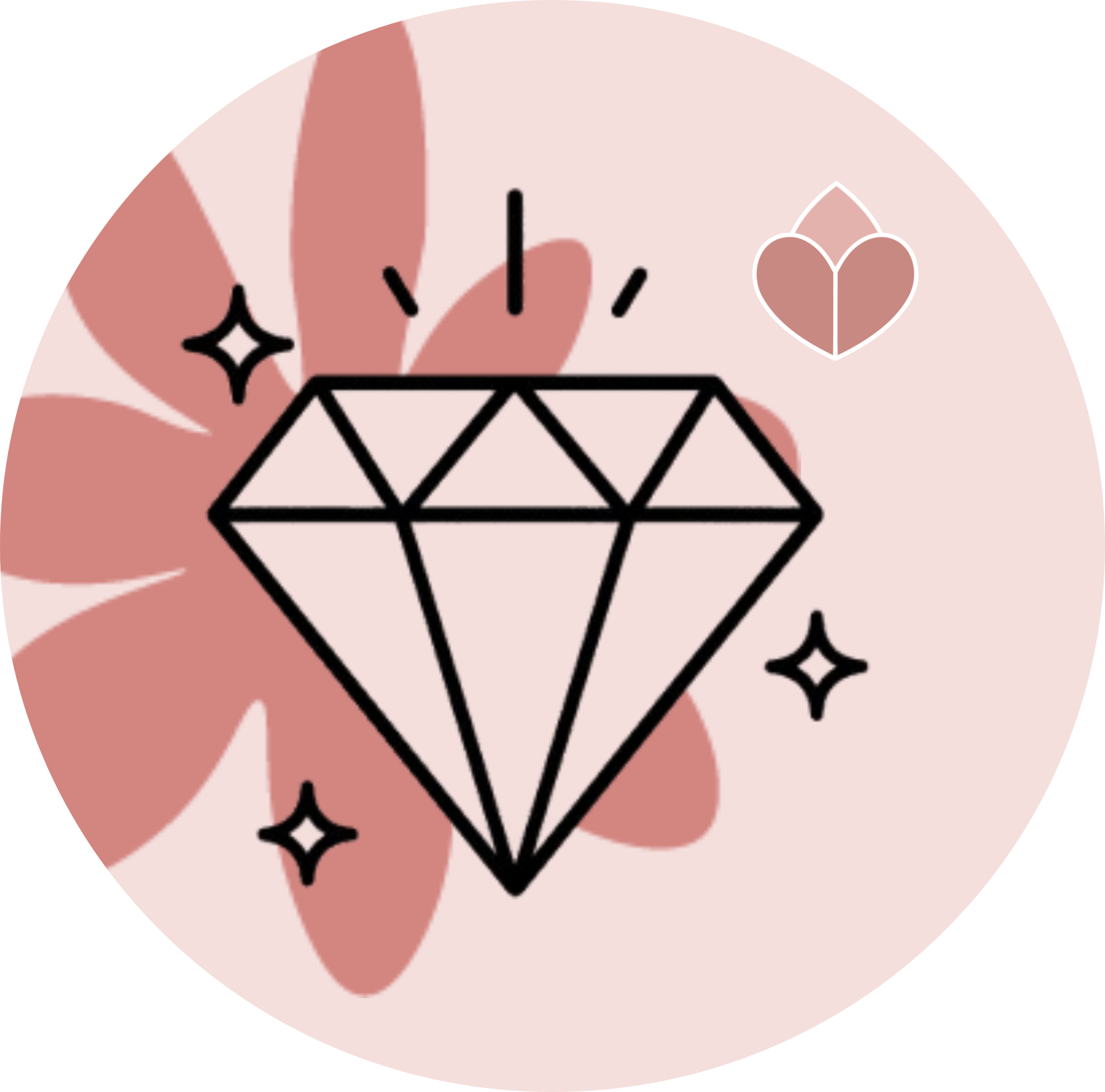 🆕 Nuevos lanzamientos